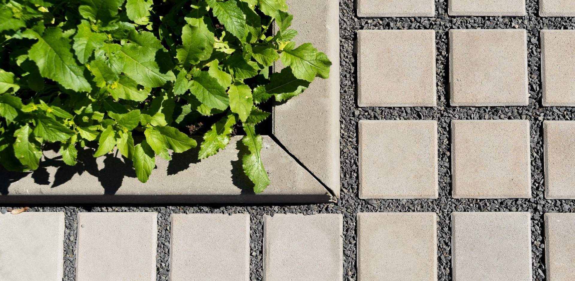 Betonová dlažba k bazénu