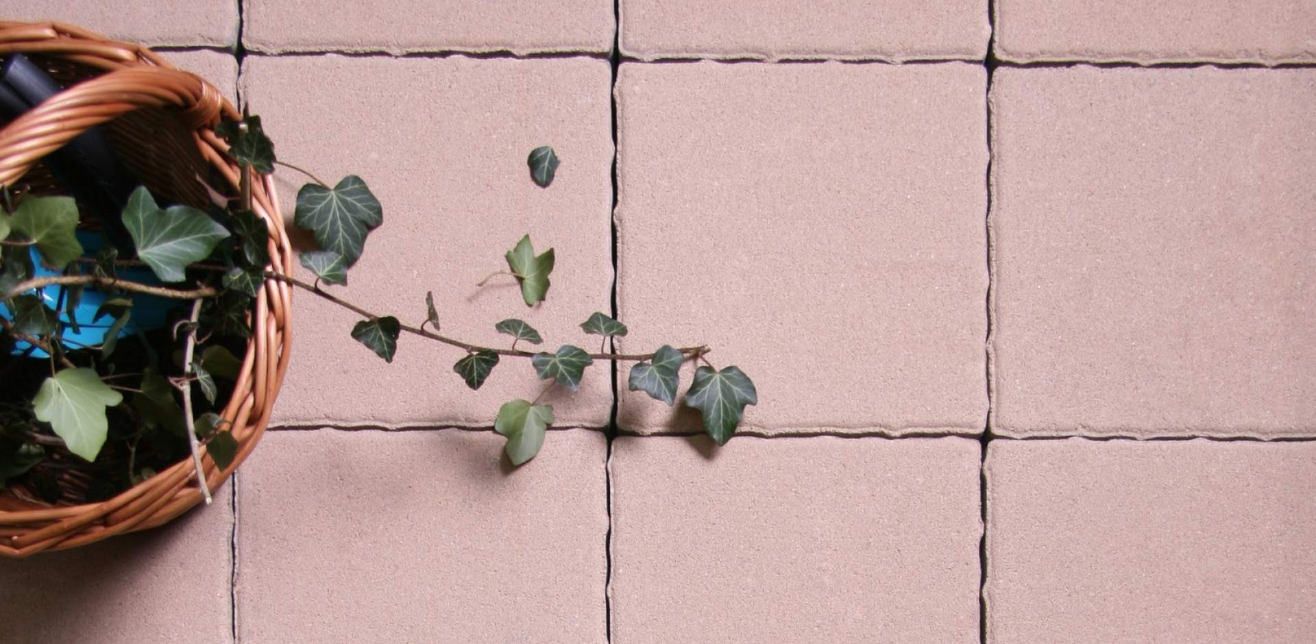 Dlažby od Liaporu v novém: nové barvy, nové služby…