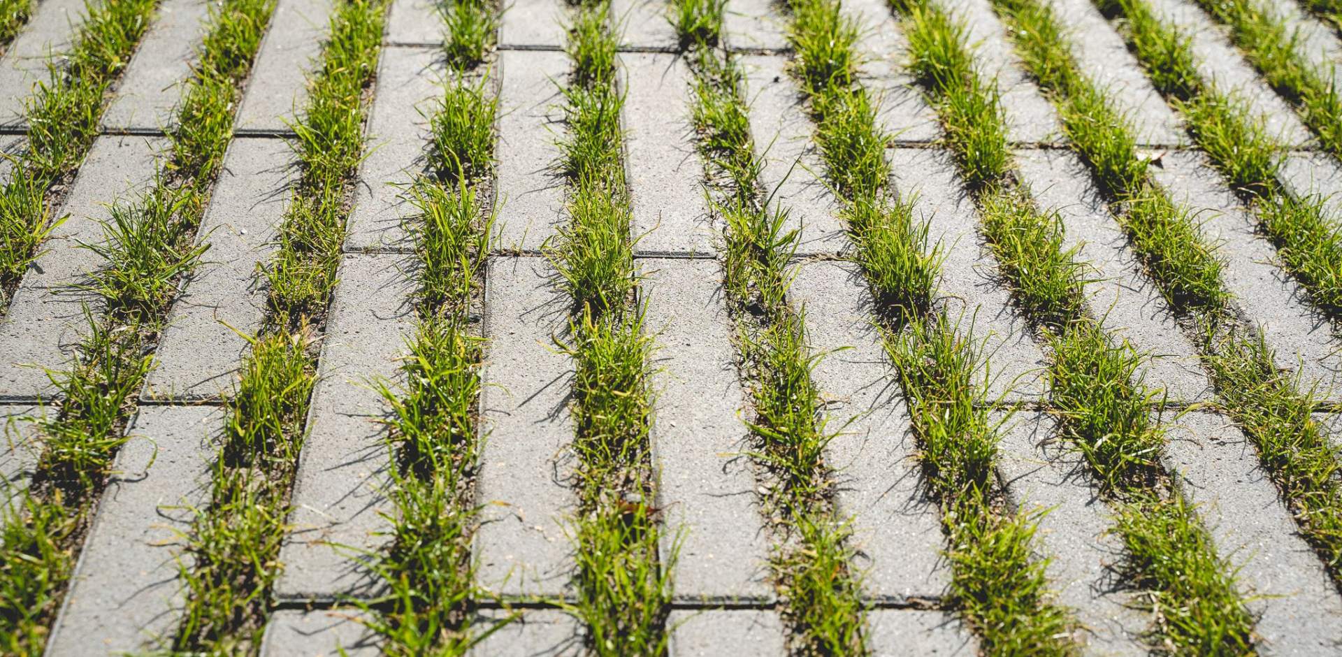 Testovací akce 2025-11