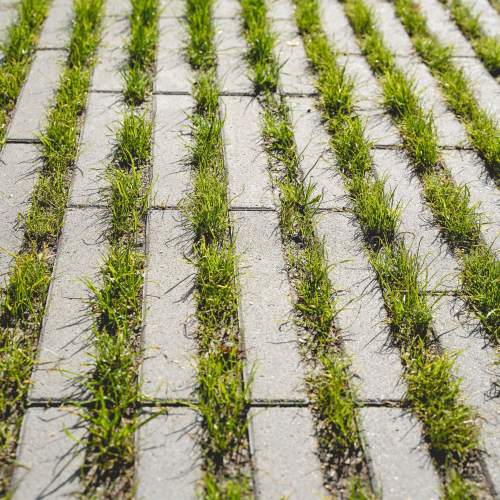 Testovací akce 2025-11