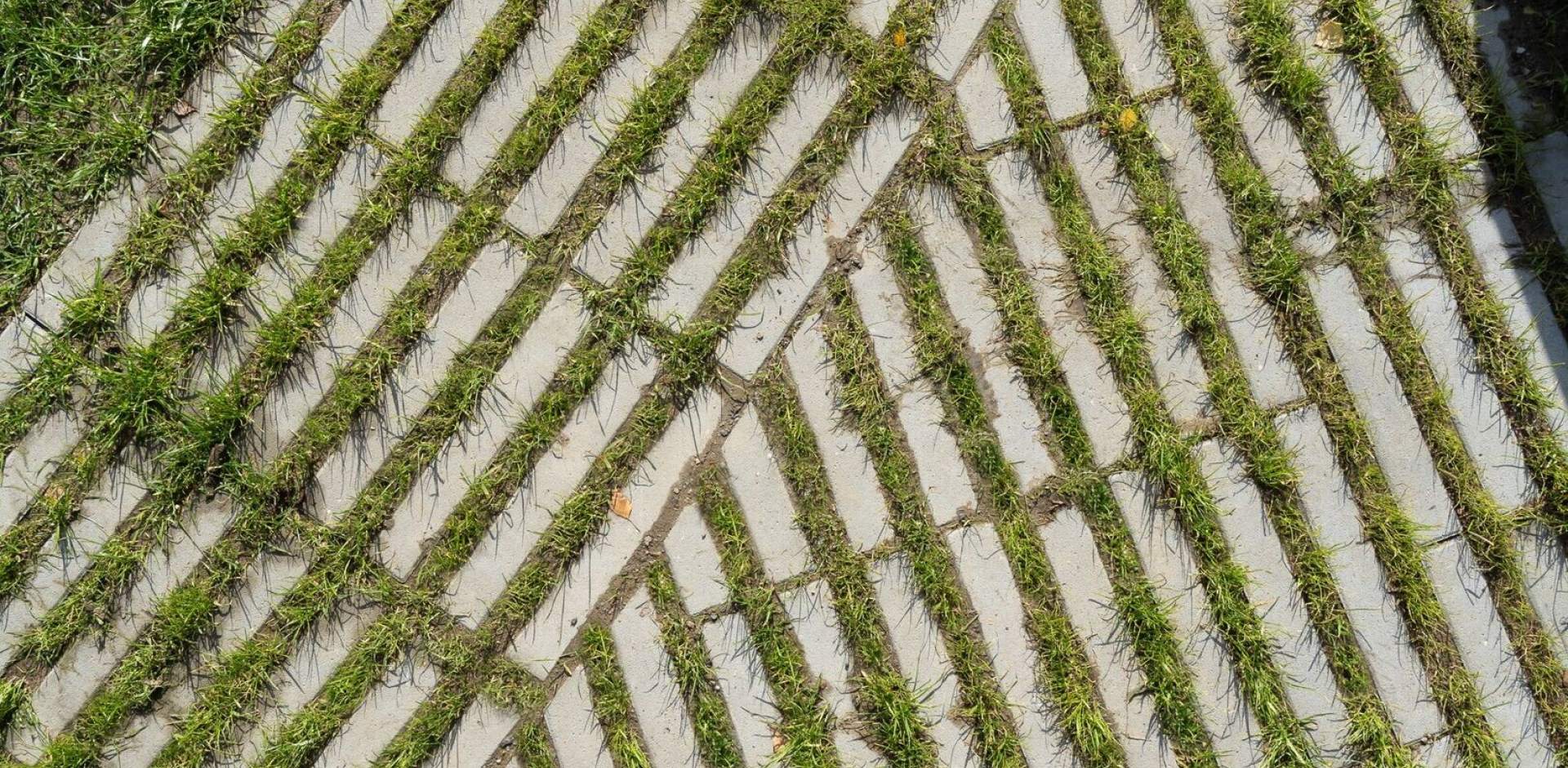 Zatravňovací dlaždice Rainstone - designové řešení pro zatravněné zpevněné plochy